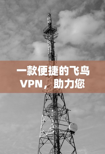一款便捷的飞鸟VPN，助力您的VPN体验更上一层楼！