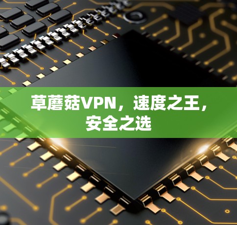 草蘑菇VPN，速度之王，安全之选