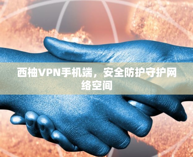 西柚VPN手机端，安全防护守护网络空间