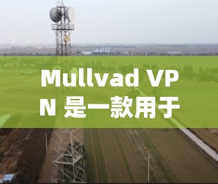 Mullvad VPN 是一款用于VPN的软件，提供高速和安全的网络连接。以下是下载和使用Mullvad VPN软件的步骤说明