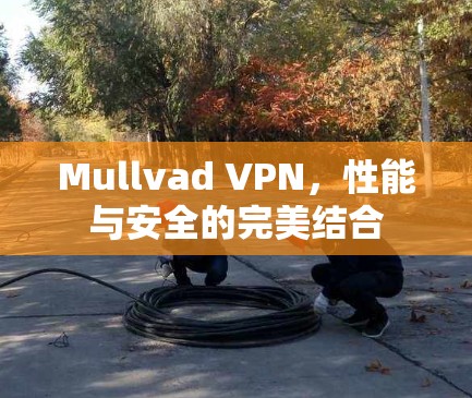 Mullvad VPN，性能与安全的完美结合