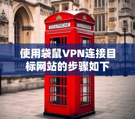 使用袋鼠VPN连接目标网站的步骤如下
