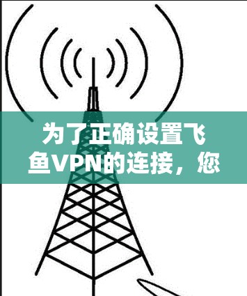 为了正确设置飞鱼VPN的连接，您可以按照以下步骤操作