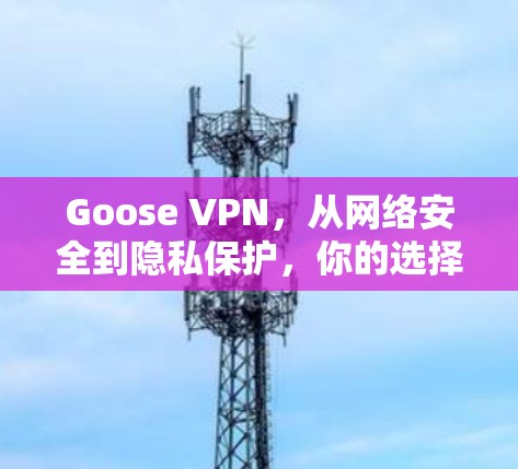 Goose VPN，从网络安全到隐私保护，你的选择到底是什么？