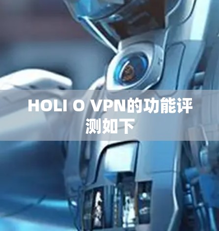 HOLI O VPN的功能评测如下