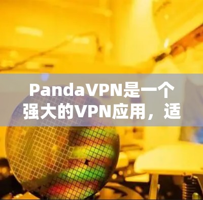 PandaVPN是一个强大的VPN应用，适合个人用户，提供多种协议和功能，如加密、流媒体和视频会议。以下是对PandaVPN的简要总结和建议