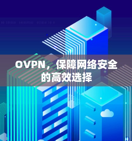 OVPN，保障网络安全的高效选择
