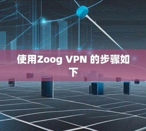 使用Zoog VPN 的步骤如下