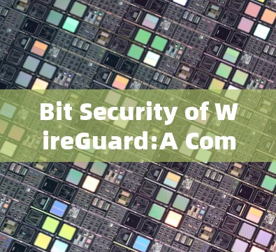 Bit Security of WireGuard:A Comprehensive Performance Analysis