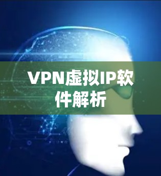 VPN虚拟IP软件解析