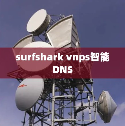 surfshark vnps智能DNS