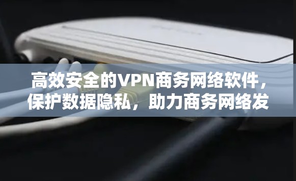 高效安全的VPN商务网络软件，保护数据隐私，助力商务网络发展
