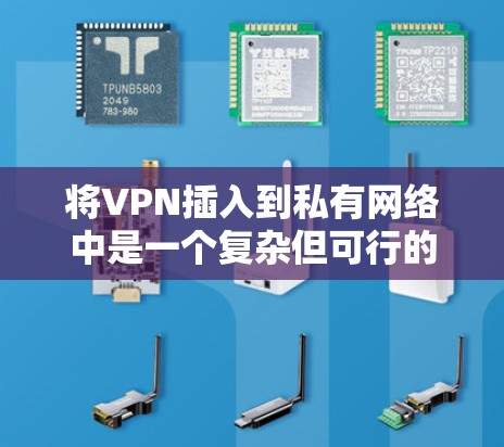 将VPN插入到私有网络中是一个复杂但可行的策略，特别是在私有网络中，用户和公司拥有独立的网络设备。以下是详细的步骤和考虑因素