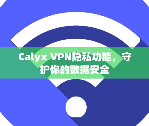 Calyx VPN隐私功能，守护你的数据安全