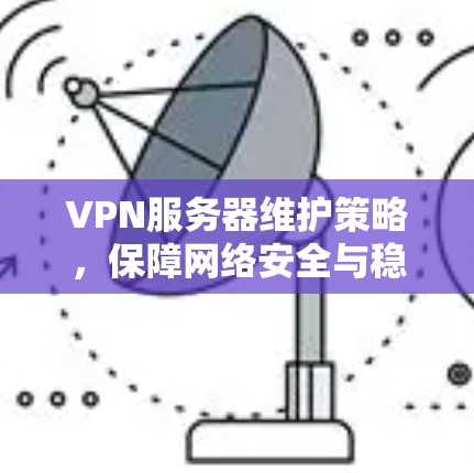 VPN服务器维护策略，保障网络安全与稳定