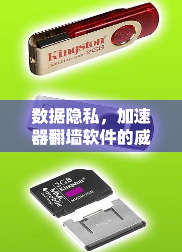 数据隐私，加速器翻墙软件的威胁与解决方案
