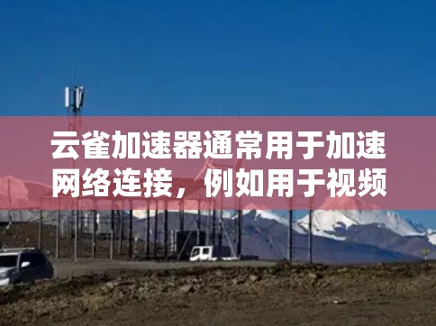 云雀加速器通常用于加速网络连接，例如用于视频会议、直播或其他网络服务。如果用户遇到云雀加速器稳定连接的问题，可能与以下几点有关