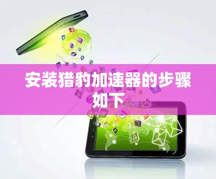 安装猎豹加速器的步骤如下