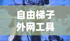 自由梯子外网工具是一个可能的术语，可能指的是一个用于建筑或户外活动中的滑动梯子工具，同时还能管理或维护某个特定网络系统的工具。以下是对该术语的更详细的解释和可能的应用场景