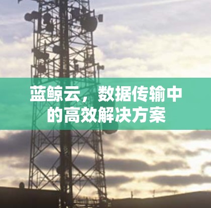 蓝鲸云，数据传输中的高效解决方案