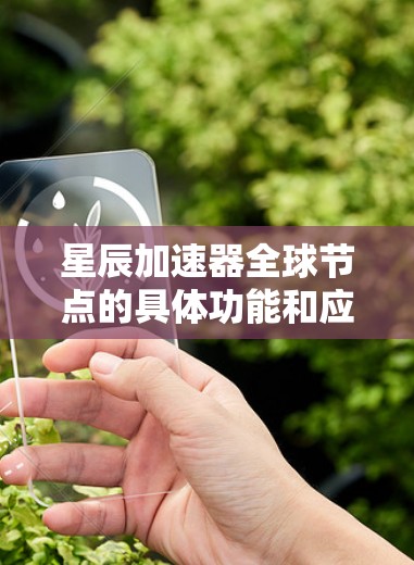 星辰加速器全球节点的具体功能和应用如下