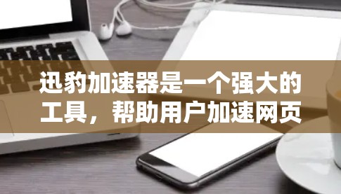 迅豹加速器是一个强大的工具，帮助用户加速网页和下载资源。以下是对迅豹加速器的详细指南