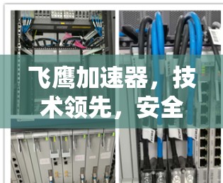 飞鹰加速器，技术领先，安全可靠，助力您的加速出行